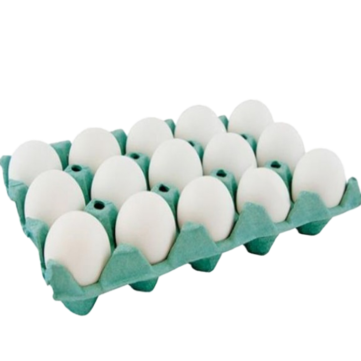 Ovos Branco Cuba com 15 Unidades